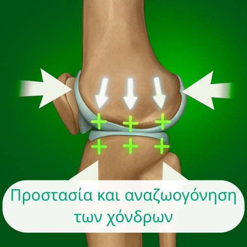 OrthoKnee™ -  Μακροχρόνια ανακούφιση από την αρθρίτιδα και τους αρθρικούς πόνους
